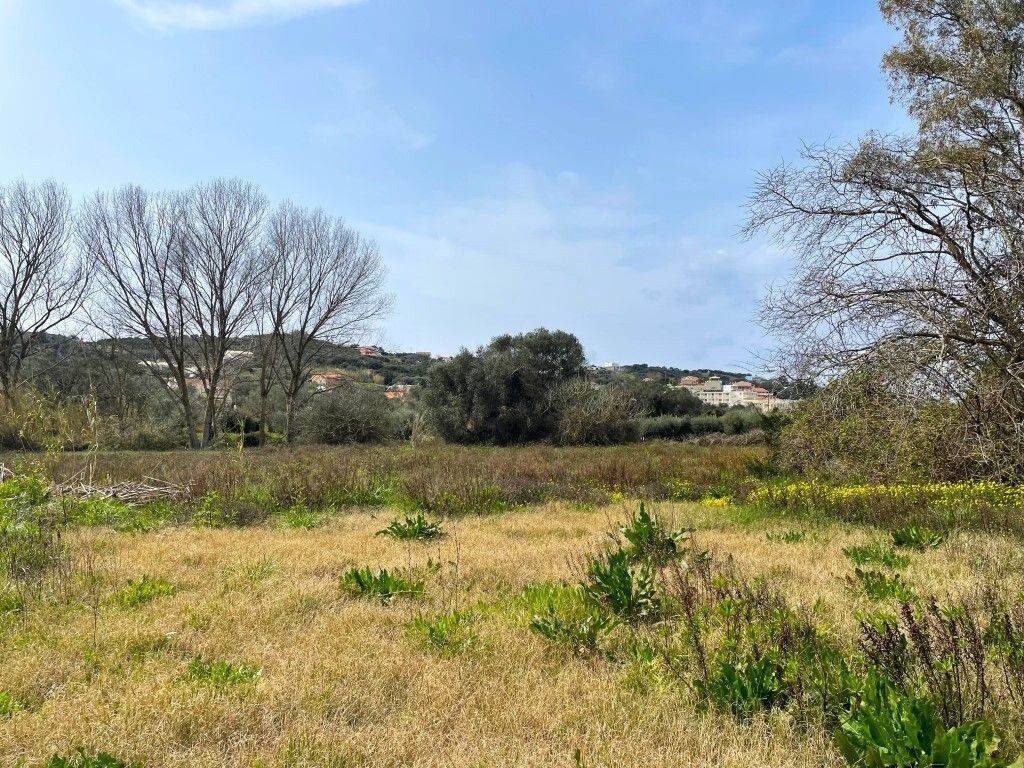 Plot - Grekodom 65622|1051890