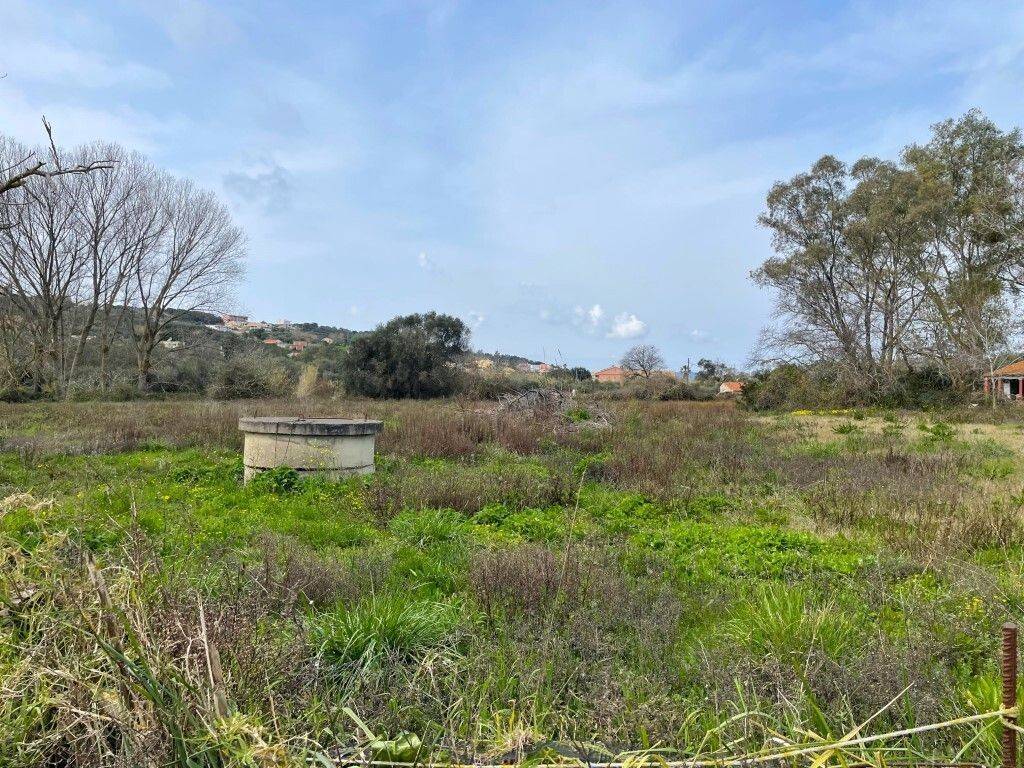 Plot - Grekodom 65622|1051892