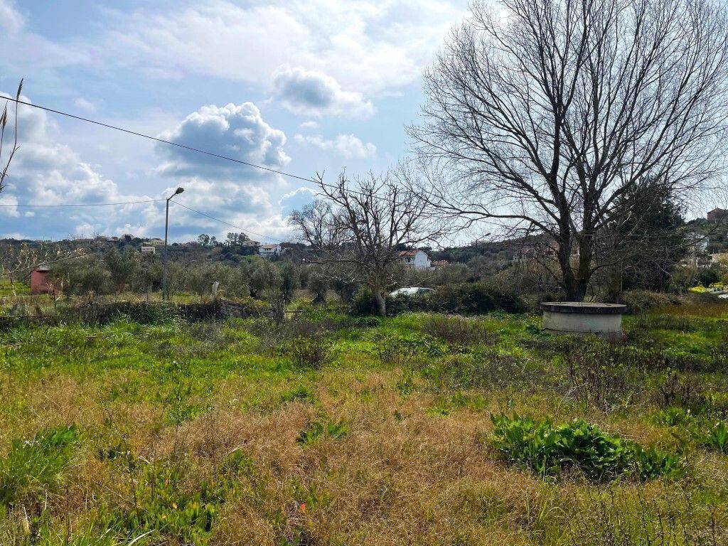 Plot - Grekodom 65622|1051883