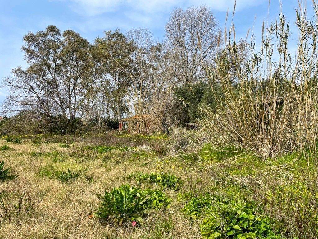 Plot - Grekodom 65622|1051886