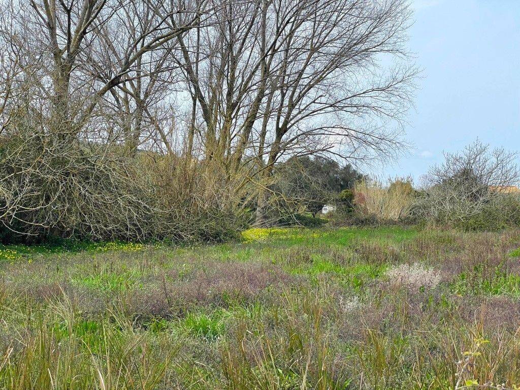 Plot - Grekodom 65622|1051891