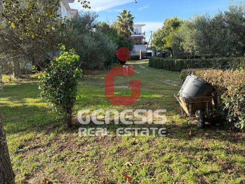 Ύπαρξη ανθρώπου