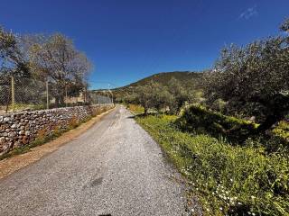 Εξωτερικοι χώροι