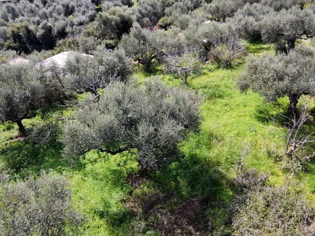 Εξωτερικοι χώροι