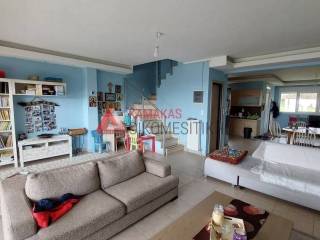 Σαλοκουζίνα