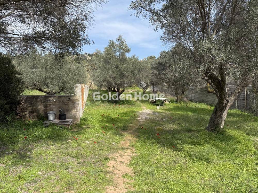 Εξωτερικός Χώρος