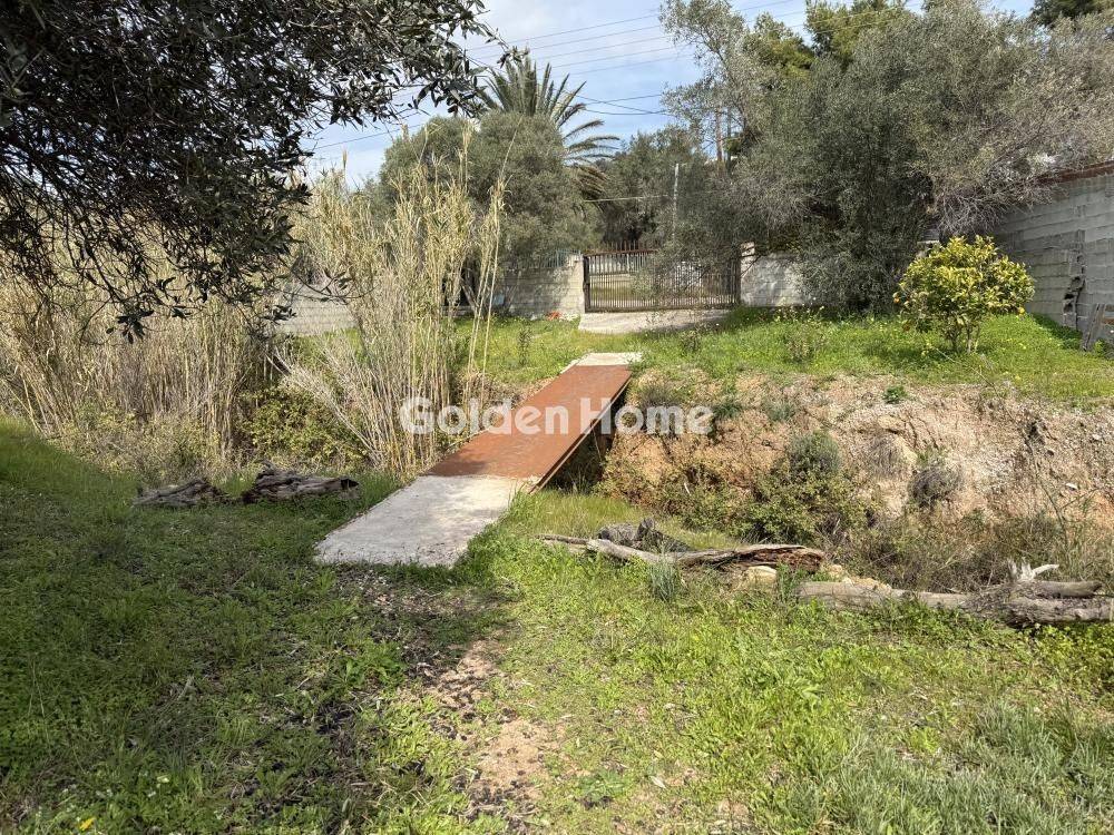 Εξωτερικός Χώρος