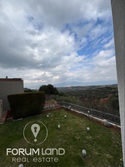 Forumland Real Estate, Απεριόριστη Θέα