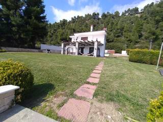 ANYPLACE MESITIKES YPERESIES