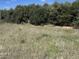 Forumland Real Estate, αγροτεμάχιο