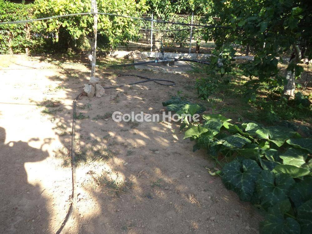 Εξωτερικός Χώρος