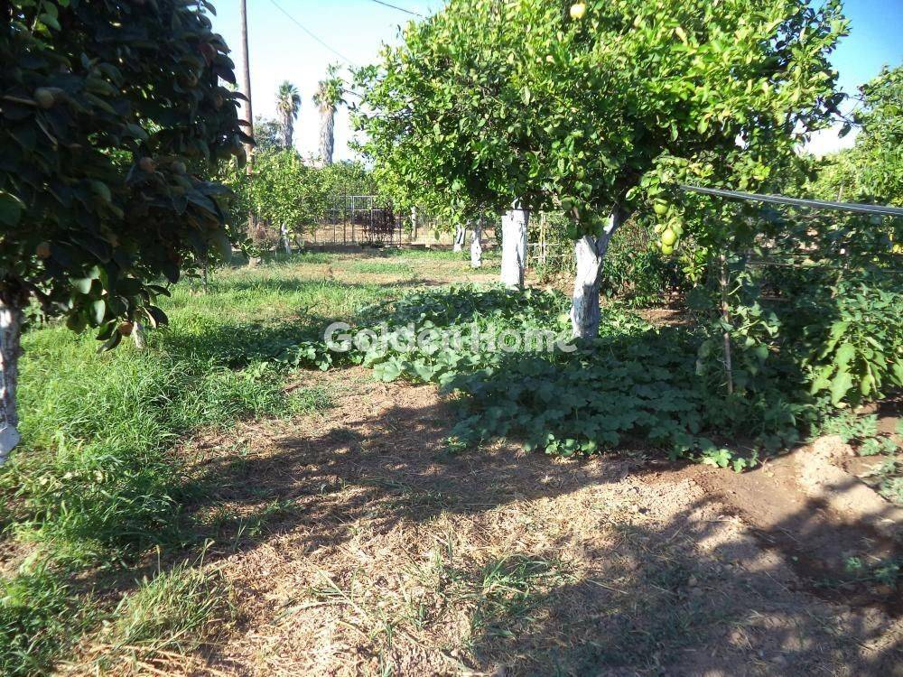 Εξωτερικός Χώρος