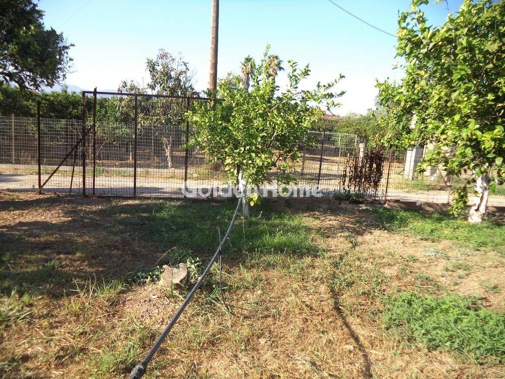 Εξωτερικός Χώρος