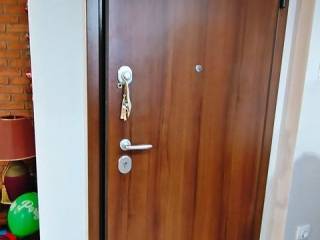 πορτα ασφαλειας