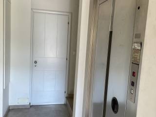 Forumland Real Estate, Anelkysteras