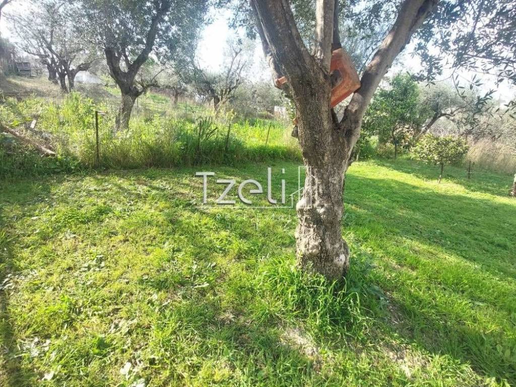 Εξωτερική άποψη χώρου