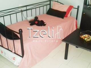 ΛΕΠΤΟΜΕΡΕΙΕΣ ΔΙΑΜΕΡΙΣΜΑΤΟΣ