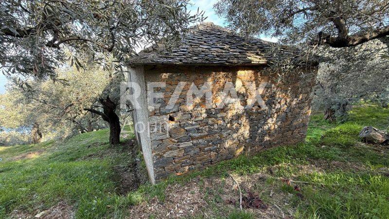 Ύπαρξη ανθρώπου