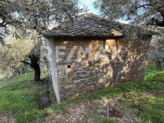 Ύπαρξη ανθρώπου