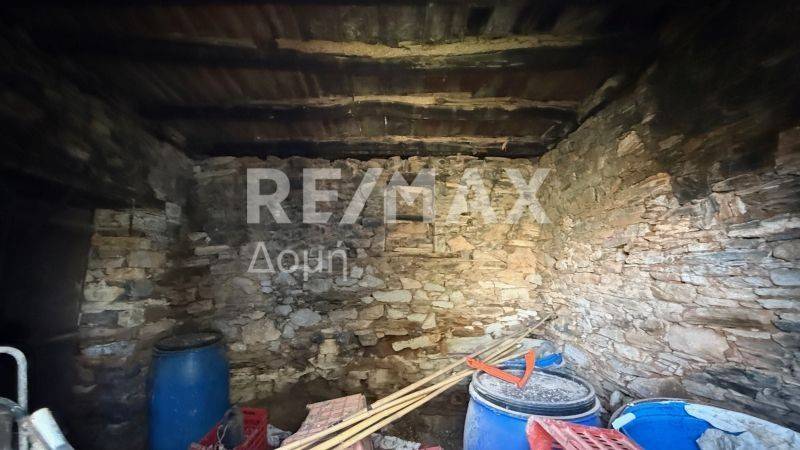 Ύπαρξη ανθρώπου