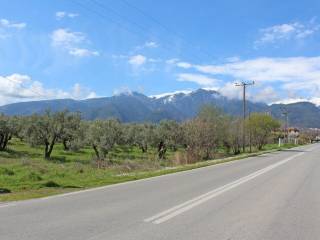 Plot - Grekodom 65646|1052086