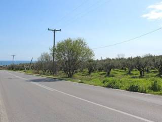 Plot - Grekodom 65646|1052087