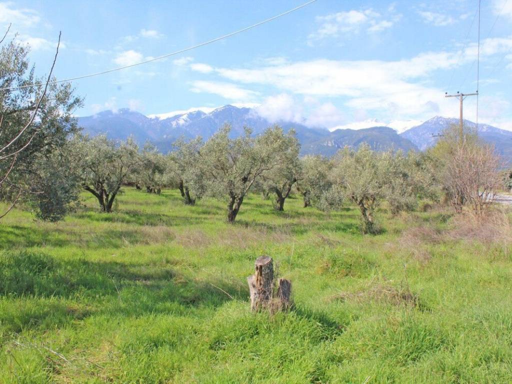 Plot - Grekodom 65646|1052085