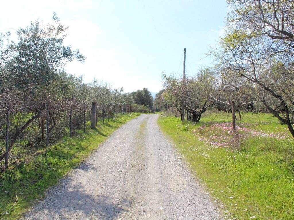 Plot - Grekodom 65646|1052084