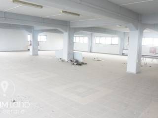 Forumland Real Estate, Επαγγελματικό κτίριο 3.000τ.μ.