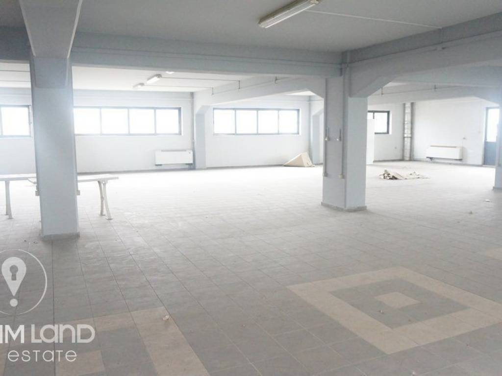 Forumland Real Estate, Επαγγελματικό κτίριο 3.000τ.μ.