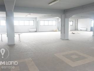 Forumland Real Estate, Επαγγελματικό κτίριο 3.000τ.μ.