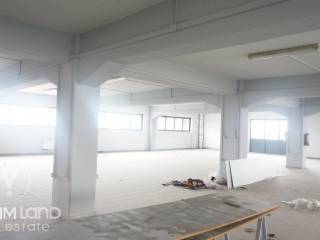 Forumland Real Estate, Επαγγελματικό κτίριο 3.000τ.μ.