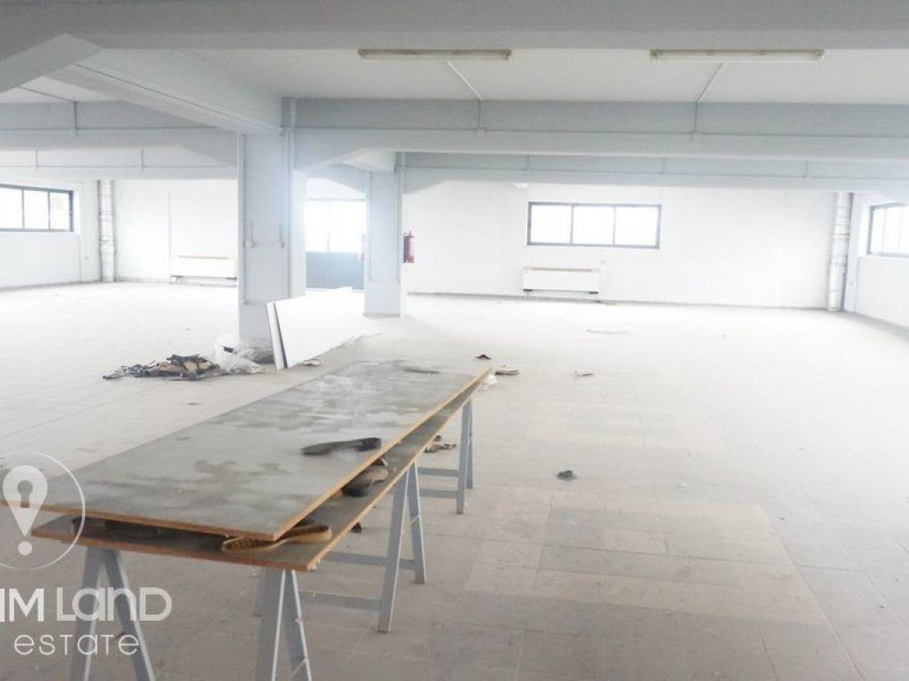 Forumland Real Estate, Επαγγελματικό κτίριο 3.000τ.μ.