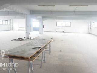 Forumland Real Estate, Επαγγελματικό κτίριο 3.000τ.μ.