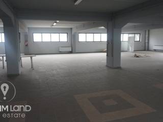 Forumland Real Estate, Επαγγελματικό κτίριο 3.000τ.μ.