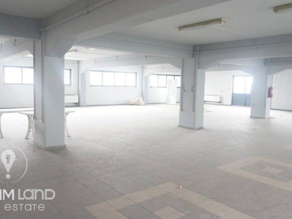 Forumland Real Estate, Επαγγελματικό κτίριο 3.000τ.μ.