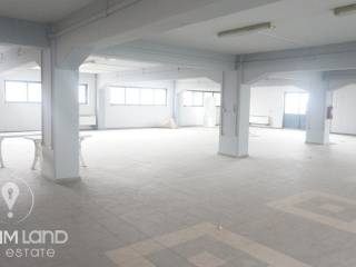 Forumland Real Estate, Επαγγελματικό κτίριο 3.000τ.μ.