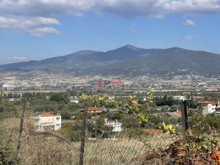 ΘΕΑ ΠΙΣΩ ΠΛΕΥΡΑΣ