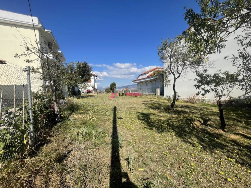 ΕΣΩΤΕΡΙΚΟ ΟΙΚΟΠΕΔΟΥ