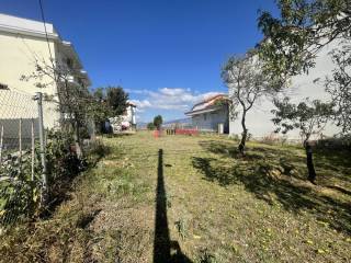 ΕΣΩΤΕΡΙΚΟ ΟΙΚΟΠΕΔΟΥ