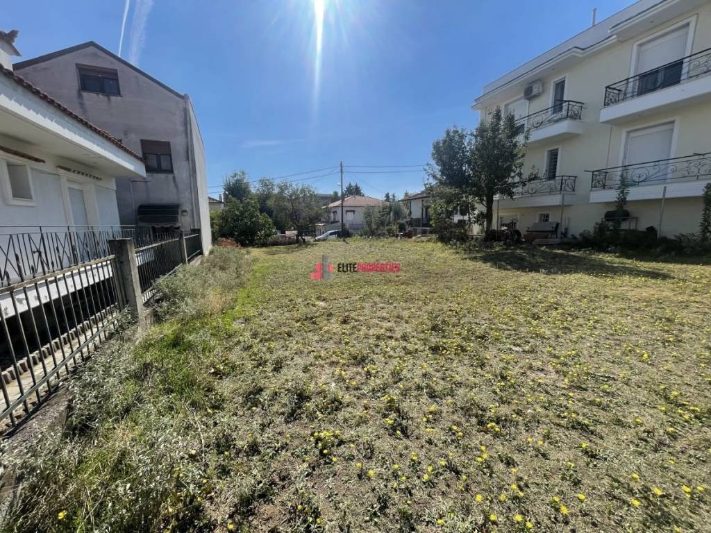 ΕΣΩΤΕΡΙΚΟ ΟΙΚΟΠΕΔΟΥ