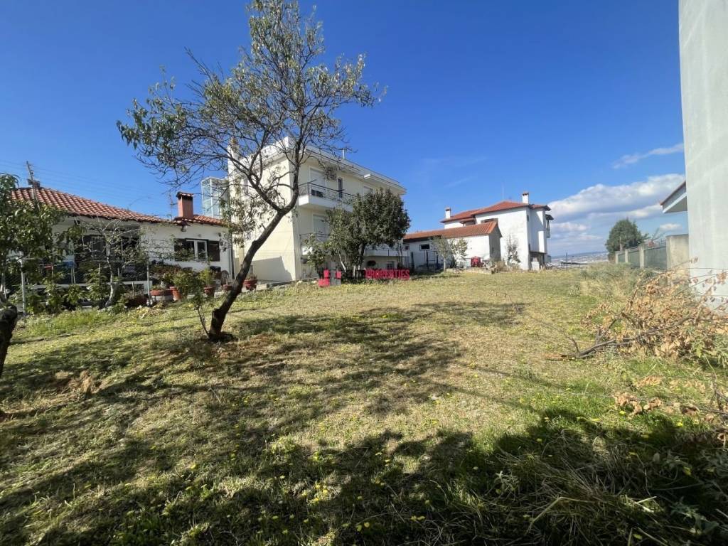 ΕΣΩΤΕΡΙΚΟ ΟΙΚΟΠΕΔΟΥ