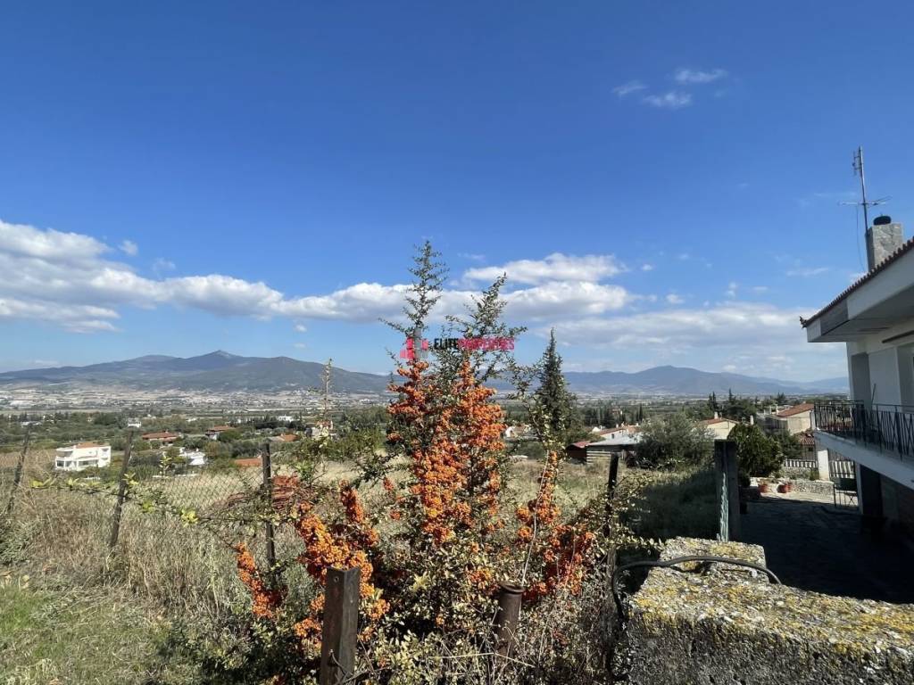 ΘΕΑ ΠΙΣΩ ΠΛΕΥΡΑΣ