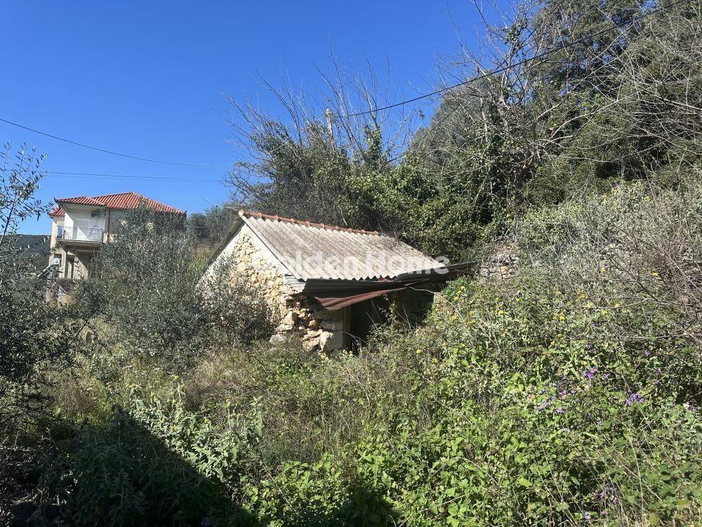 Ανελκυστήρας