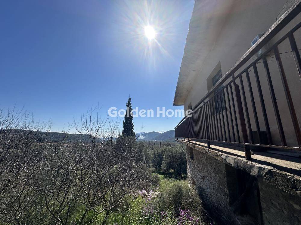 Ανελκυστήρας