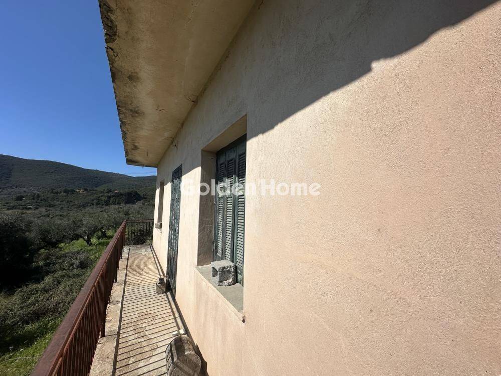 Ανελκυστήρας