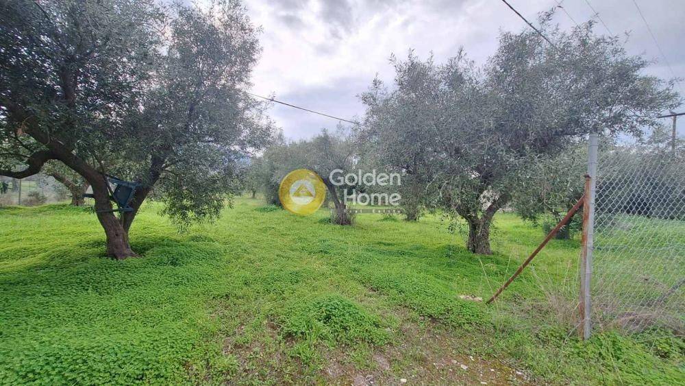 Εξωτερικός Χώρος