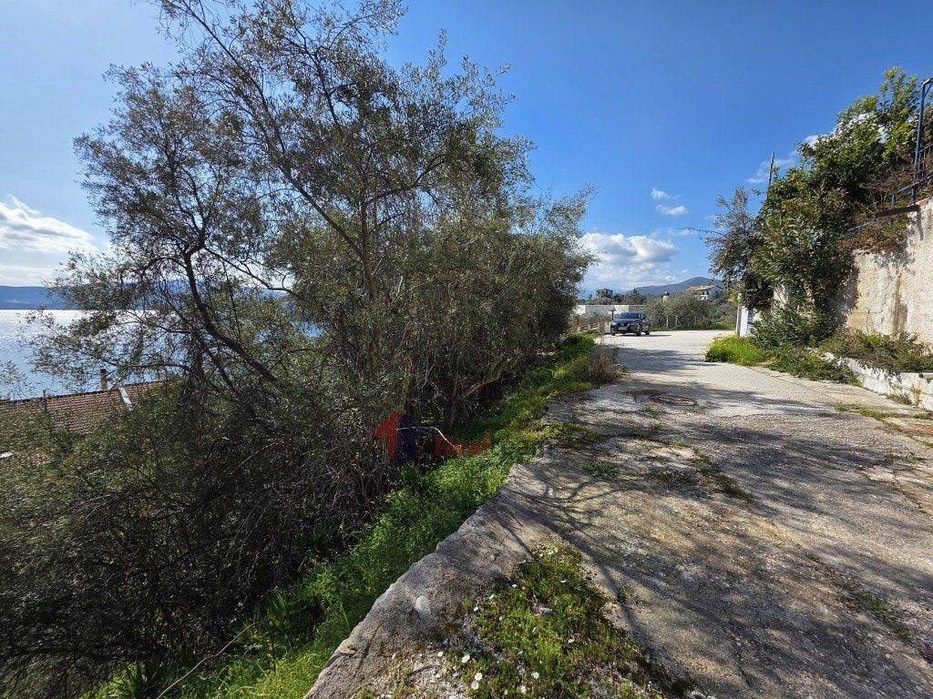 Εξωτερικοι χώροι