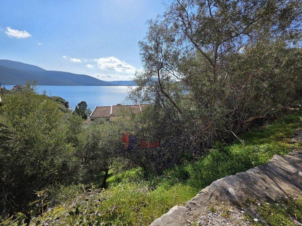 Εξωτερικοι χώροι