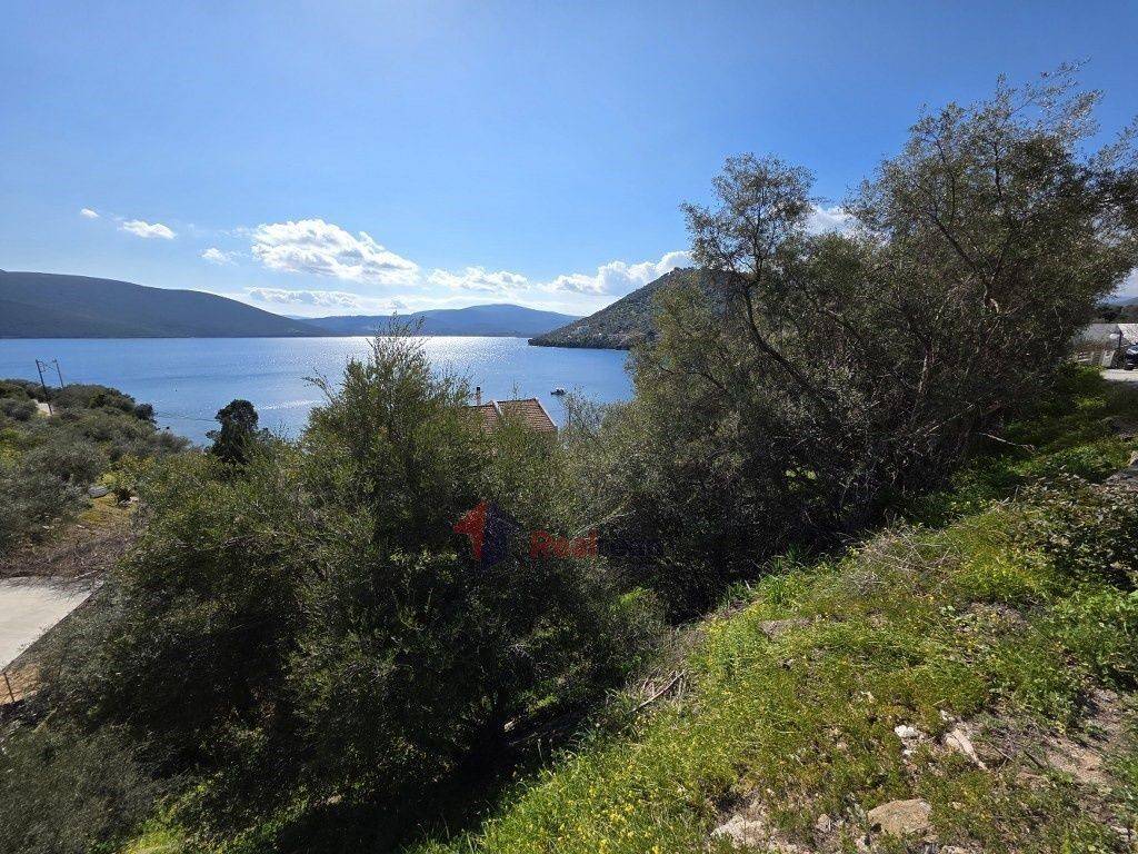 Εξωτερικοι χώροι